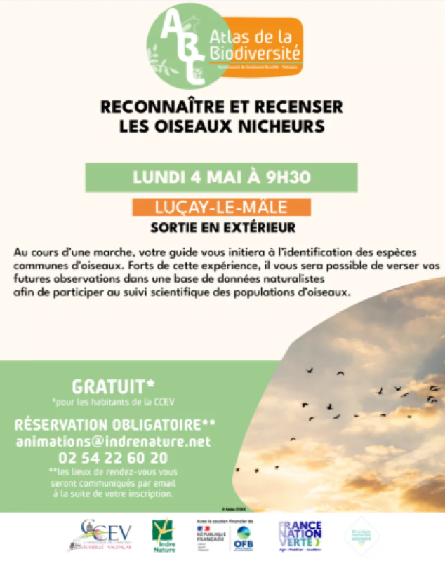 Reconnaître et recenser les oiseaux nicheurs  Luçay-le-Mâle