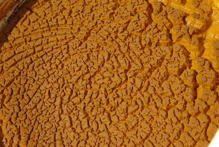 Regard d'artiste préhistorique Salagon