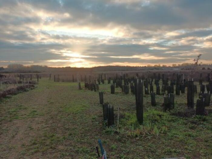 Regard d&rsquo;un paysagiste sur les espaces champêtres, Jardin Arc-en-Ciel, Saint-Martin-sur-le-Pré