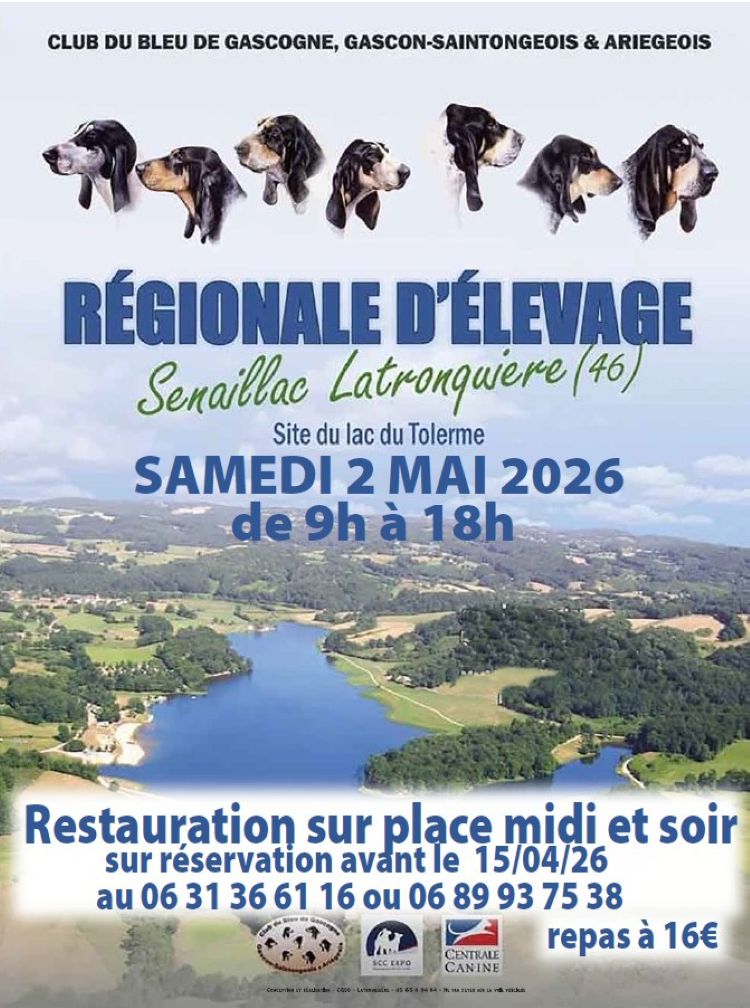 Régionale d’élevage de chiens au lac du Tolerme  Sénaillac-Latronquière