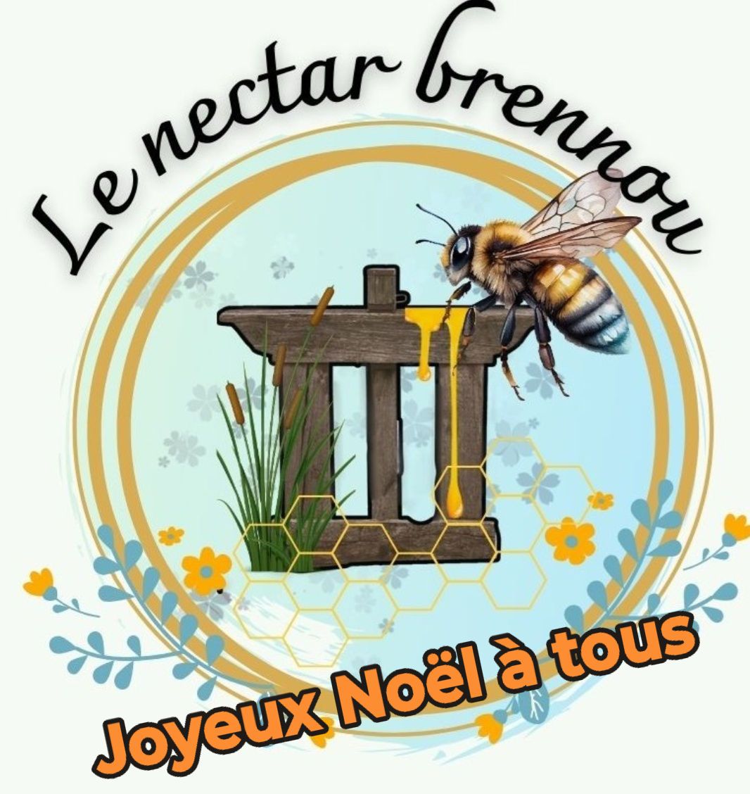Rencontre avec Delphine et Alexandre Berloquin du Nectar Brennou Rosnay