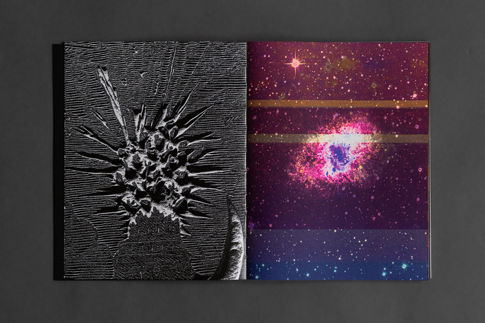 Rencontre avec Olga Cafiero et Onlab, Bibliothèque de Genève, Genève