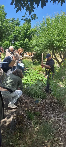 Rencontre distillation de la menthe a longues feuilles à Aubrac  Saint-Chély-d&rsquo;Aubrac