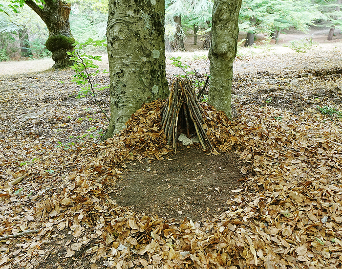 Rencontre "Lure : l'ombre