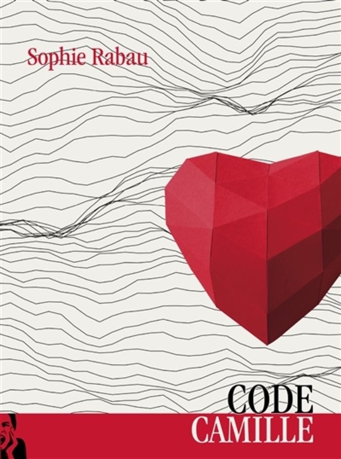 Rencontre Sophie Rabau, Bibliothèque Municipale de Bègles, Bègles