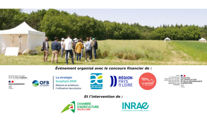 Rencontre technique : gestion des adventices dans les rotations (53), Plateforme expérimentale de Saint-Fort, Château-Gontier-sur-Mayenne (53), Château-Gontier-sur-Mayenne