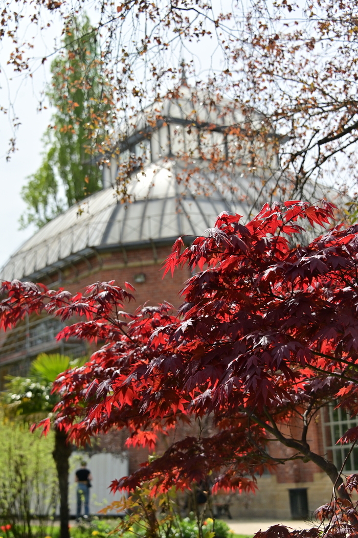 Rendez-vous au Jardin botanique, Jardin botanique de Metz, Montigny-lès-Metz