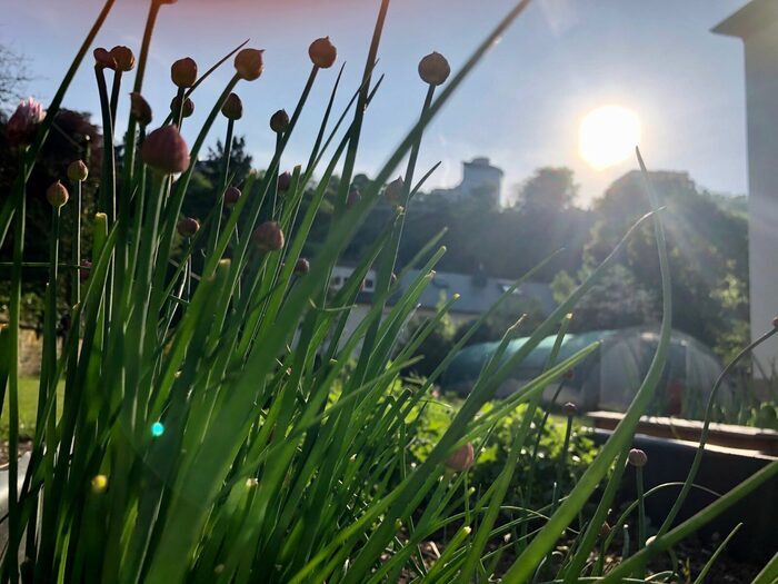 Rendez-vous au jardin de Canopée, Jardin de Canopée, Luxembourg