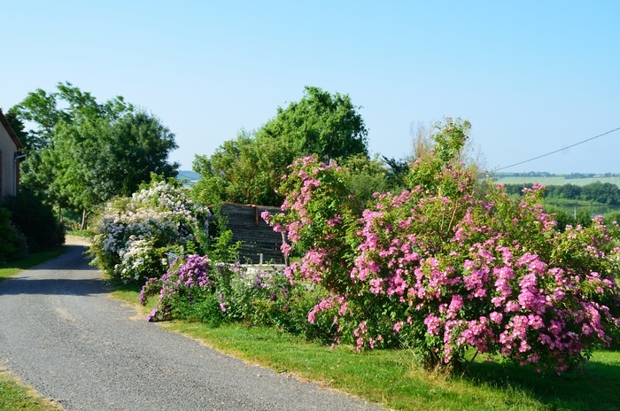 Rendez-vous au Jardin d'En Galinou Jardin d'en Galinou Caraman