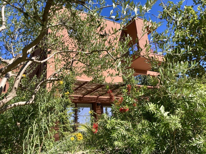 Rendez-vous au jardin du musée Musée du Niel Hyères