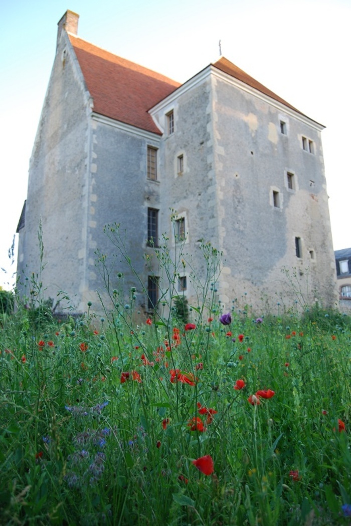 Rendez-vous aux Jardins 2026 Manoir de la Cour 9 rue de la Cour 72440 Coudrecieux Exoudun