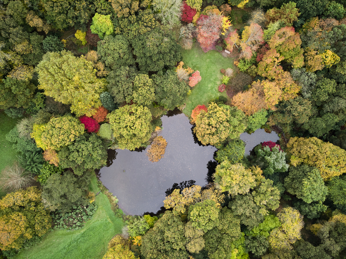 Rendez-vous aux Jardins de Kerdalo, Jardin de Kerdalo, Trédarzec
