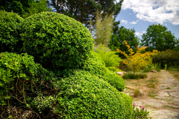 Rendez-vous aux Jardins de La Bruyère Les Jardins de La Bruyère Plaintel