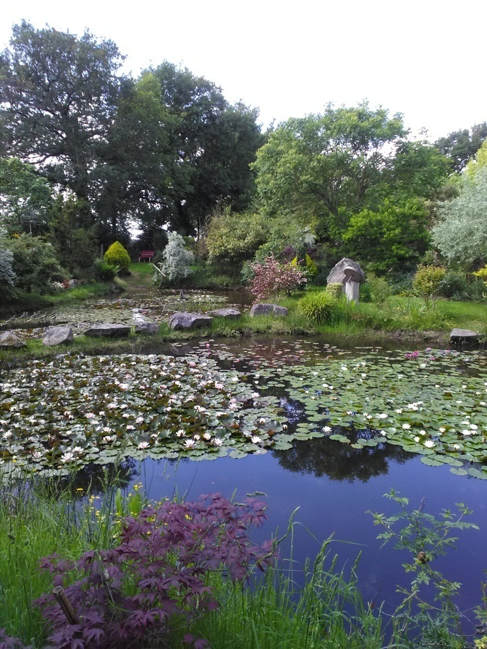 Rendez-vous aux Jardins Le jardin d'Alcime Aubigny-Les Clouzeaux