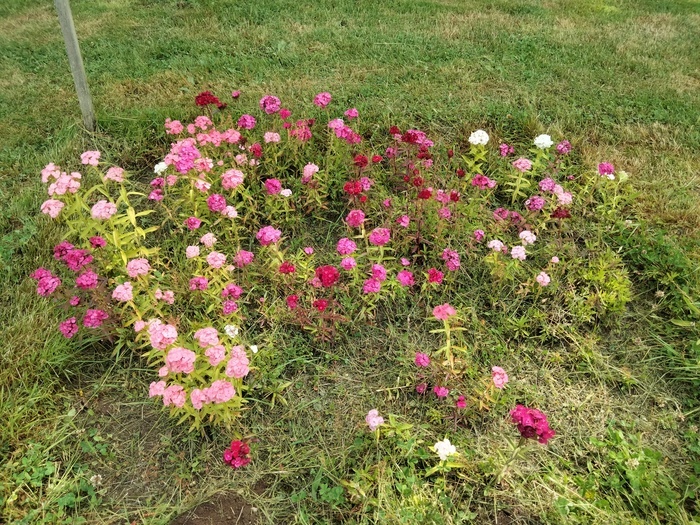 Rendez-vous aux jardins, Village de l&rsquo;An Mil, Melrand