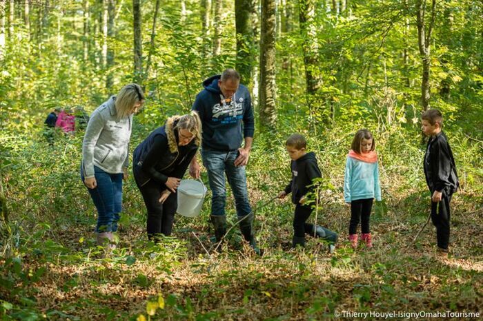 Rendez-vous créatif « Le monde fascinant des vers de terre », Maison de la Forêt, Montfiquet