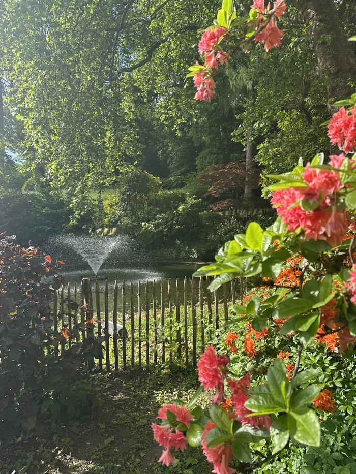 Rendez-vous dans le jardin à l'anglaise du Château d'Hausen Parc du Château Hombourg Haut
