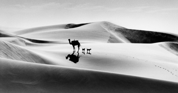 Rendez-vous photo : Raymond Depardon
