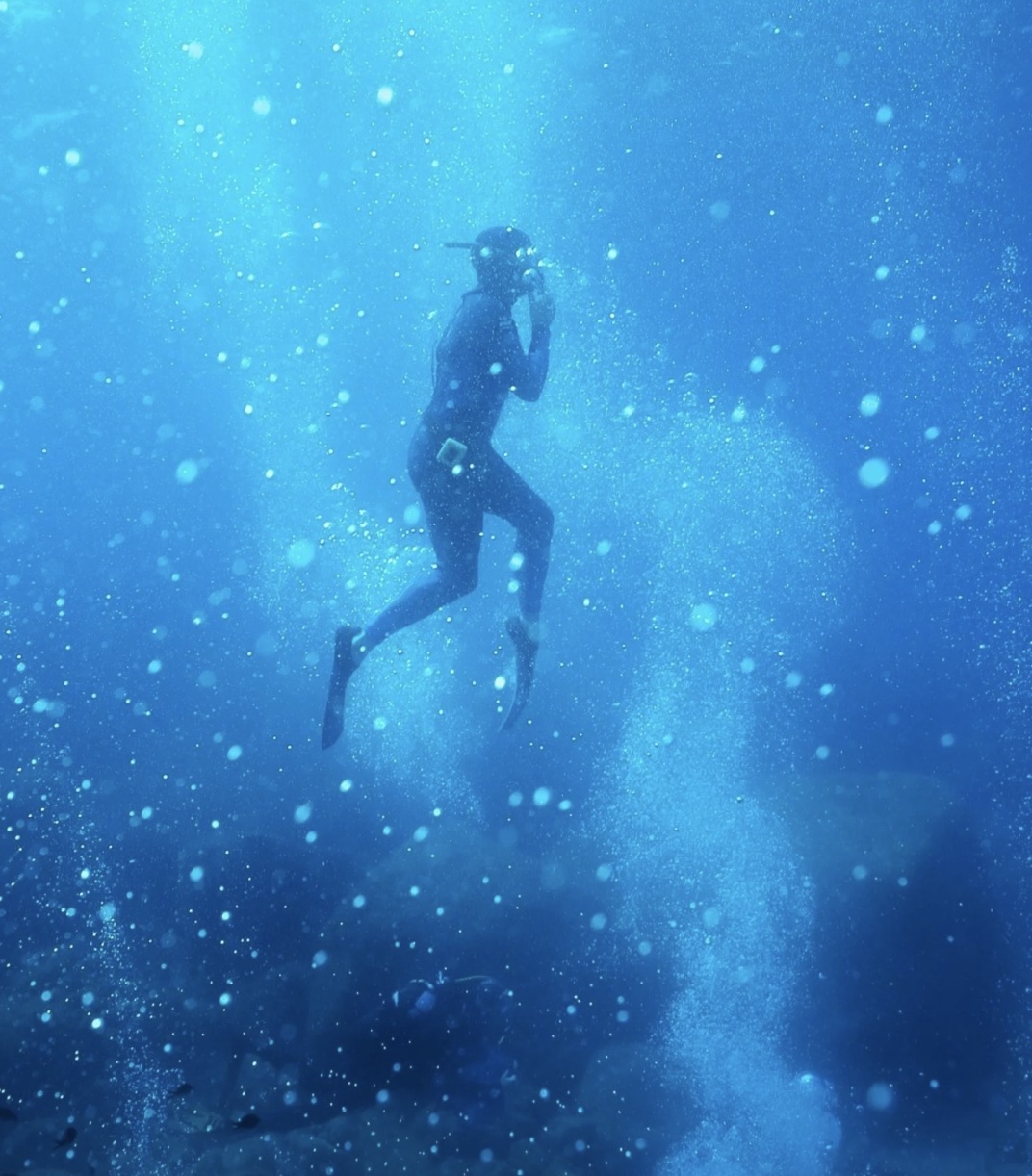 rennes expo mer champs libres