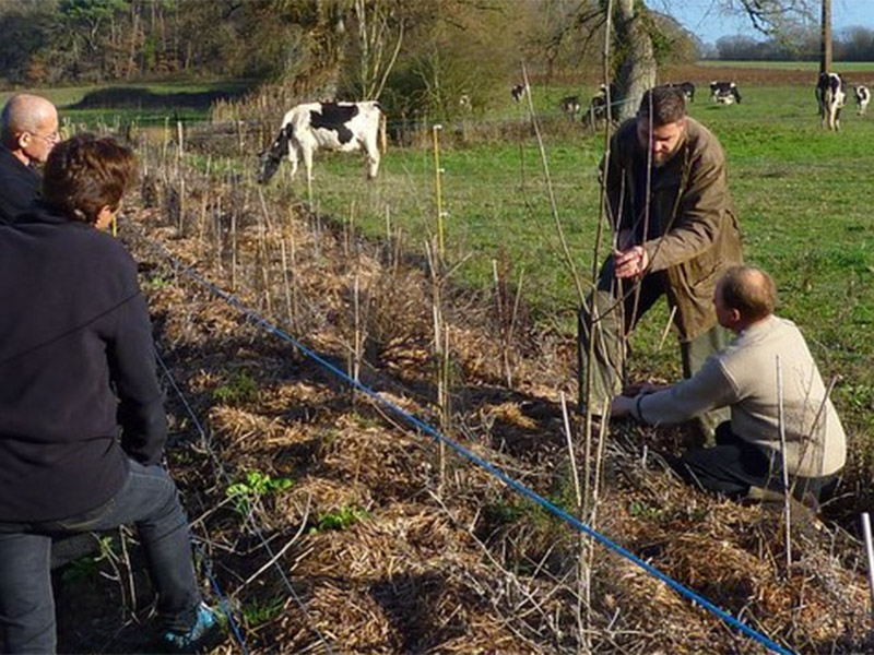 Réunion d&rsquo;information plantation de haies  Saint-Michel-en-Brenne