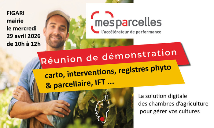 Réunion mesparcelles, Mairie, Figari (2A), Figari