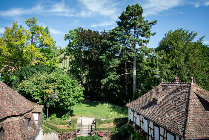 (Re)voir le jardin de la Folie Marco Musée de la Folie Marco Barr