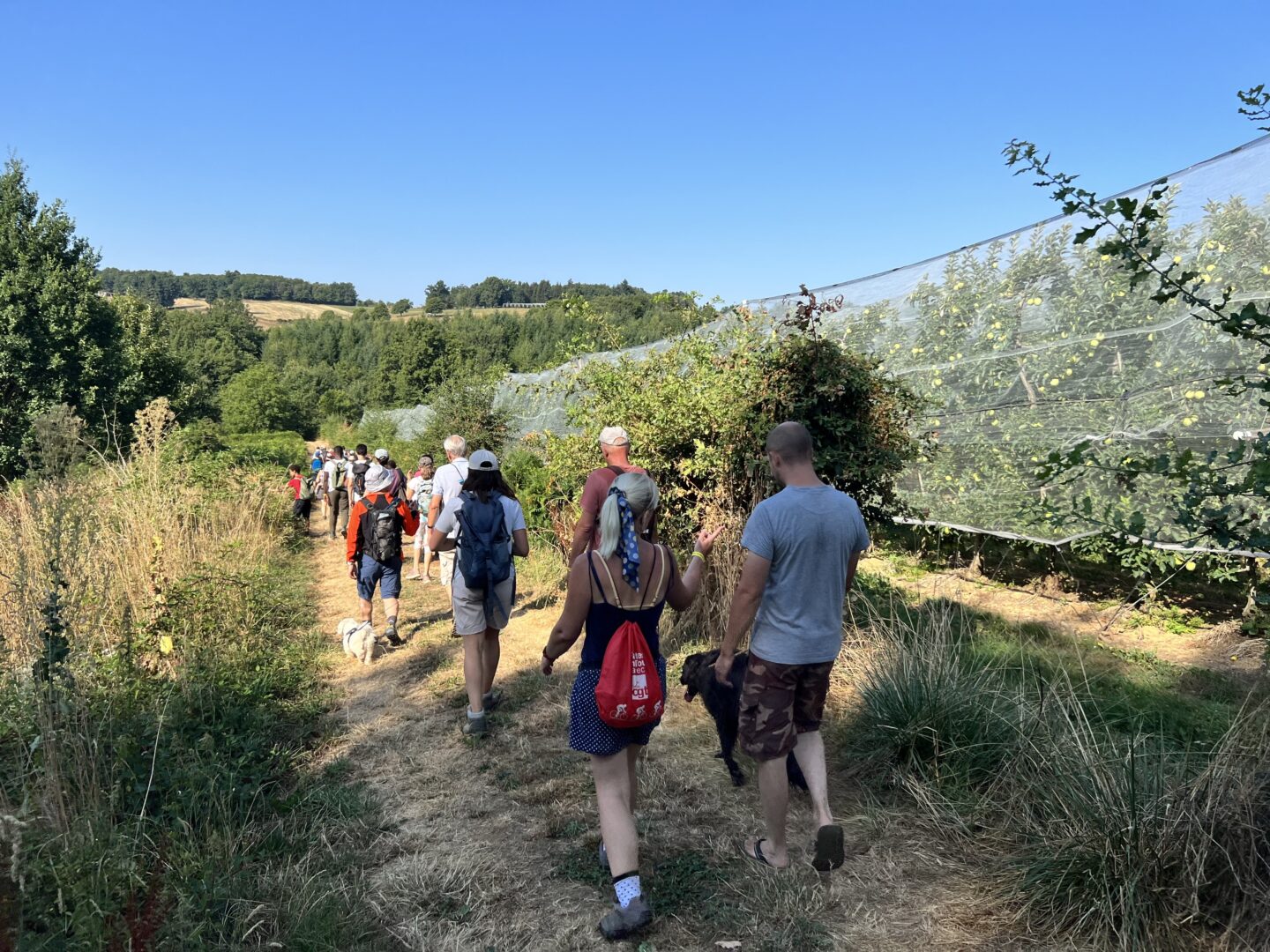 Route de la Pomme du Limousin Visite verger 2026 La Salesse Saint-Yrieix-la-Perche 2026-08-20