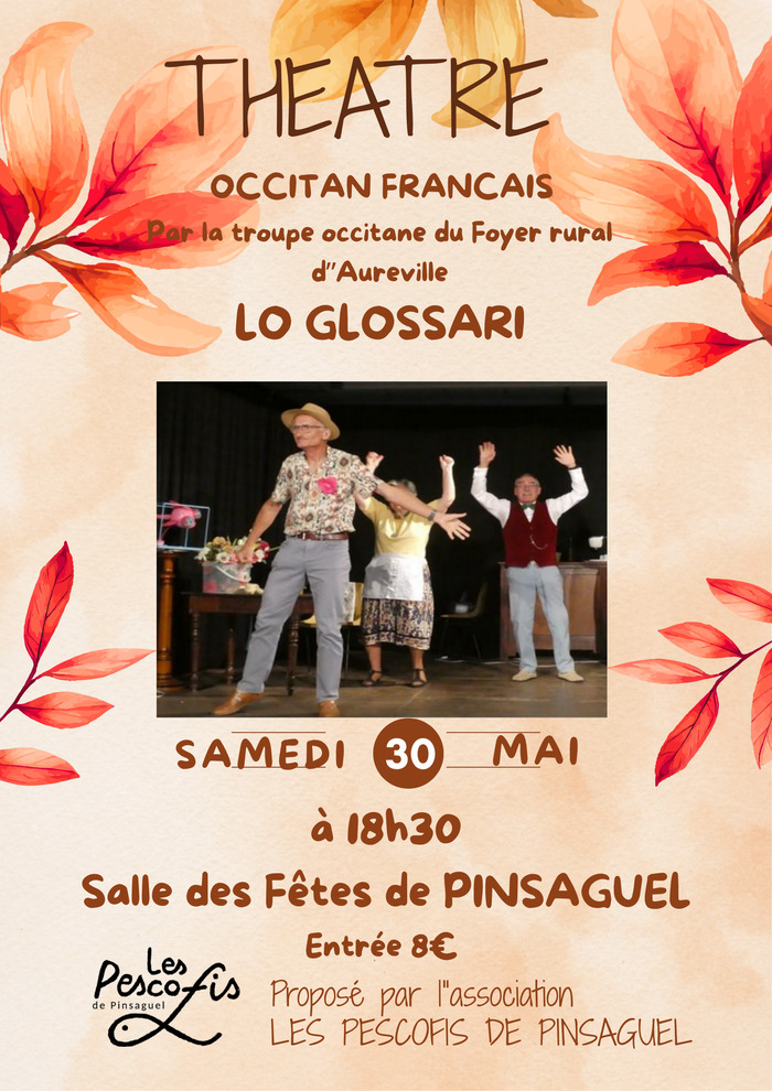 Sala de las fèstas (Pinçaguèl) Pinsaguel