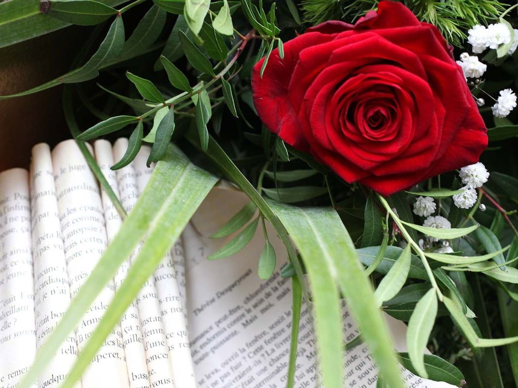 SANT JORDI AU MUSÉE  Perpignan