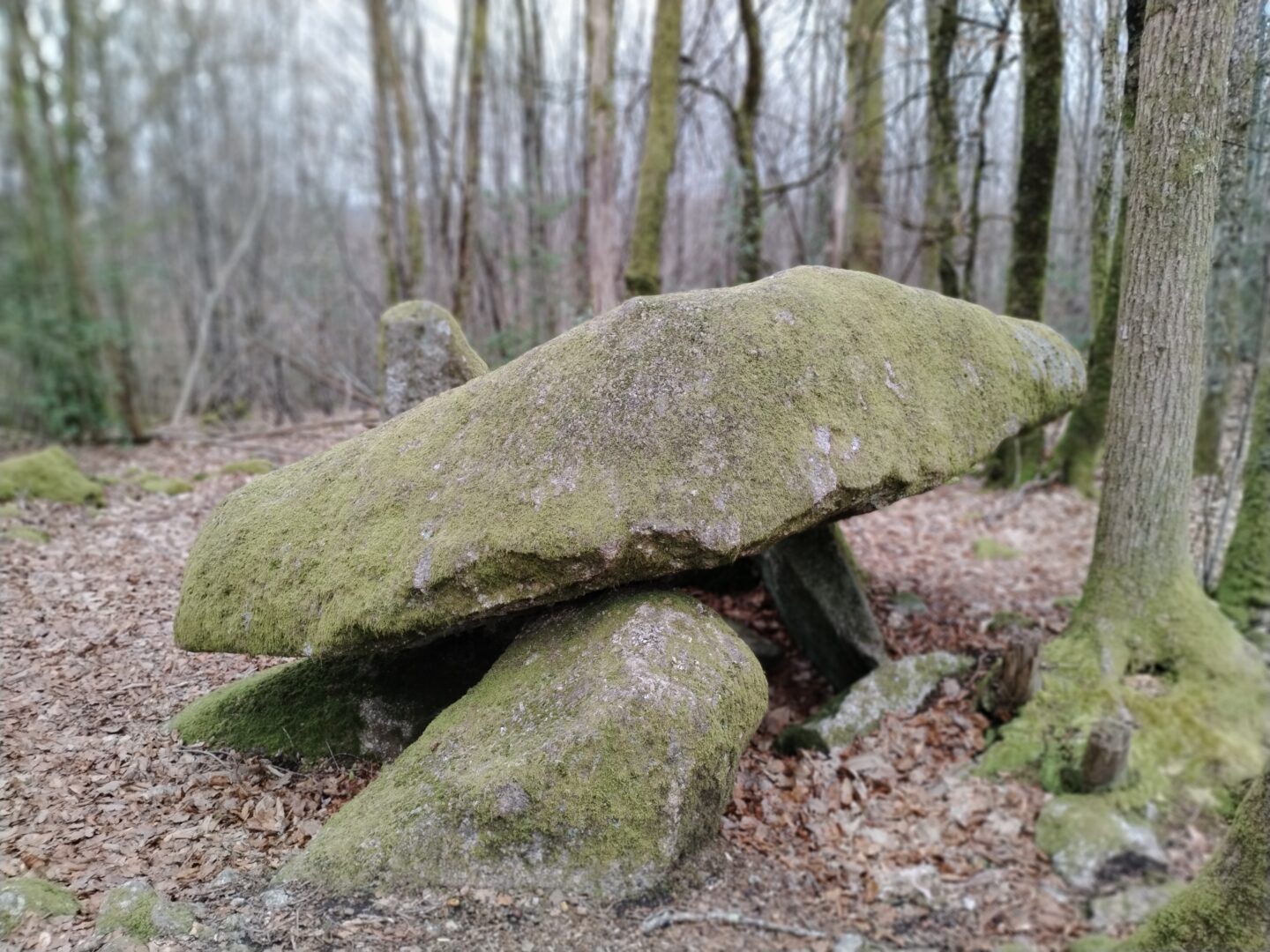 Sentier de l&rsquo;Ermite Ambazac Haute-Vienne