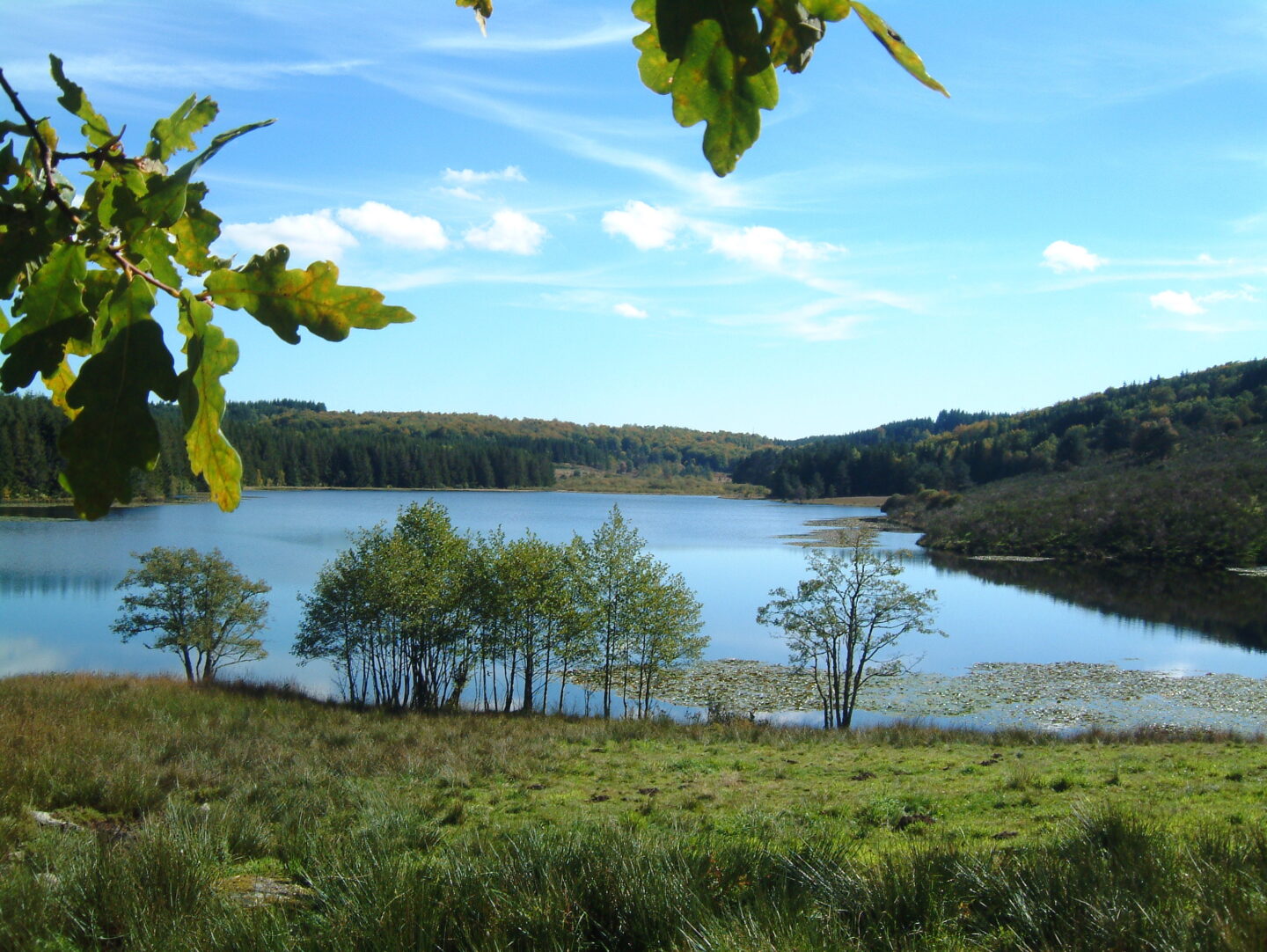 Sentier de Millevaches aux Oussines 13 km Bort-les-Orgues Corrèze