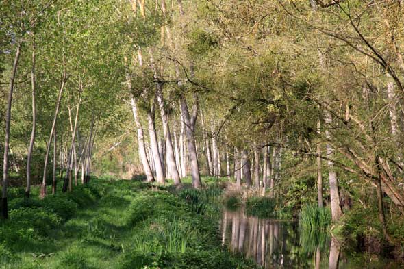 Sentier des côteaux Saint-Martin-la-Pallu Vienne