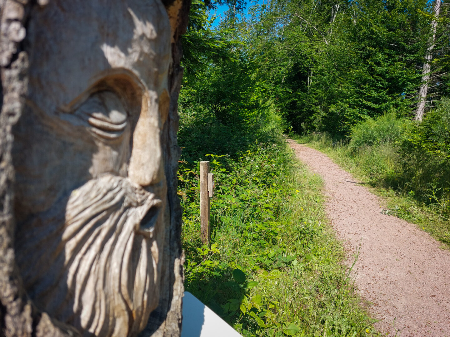 Sentier d&rsquo;interprétation Etang de Niffond Varennes-Vauzelles Nièvre