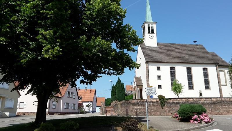 Sentier pédestre Circuit des Fleckenstein Buhl Bas-Rhin