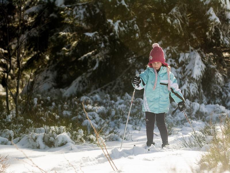 Sentier raquettes CDF01 Le tour du Champ du Feu Belmont Bas-Rhin
