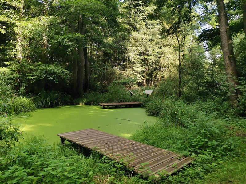 Sentier Rund&rsquo;Um Dieffenbach-au-Val Bas-Rhin