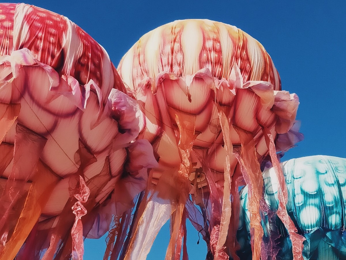 SOL Y FIESTA Leucate