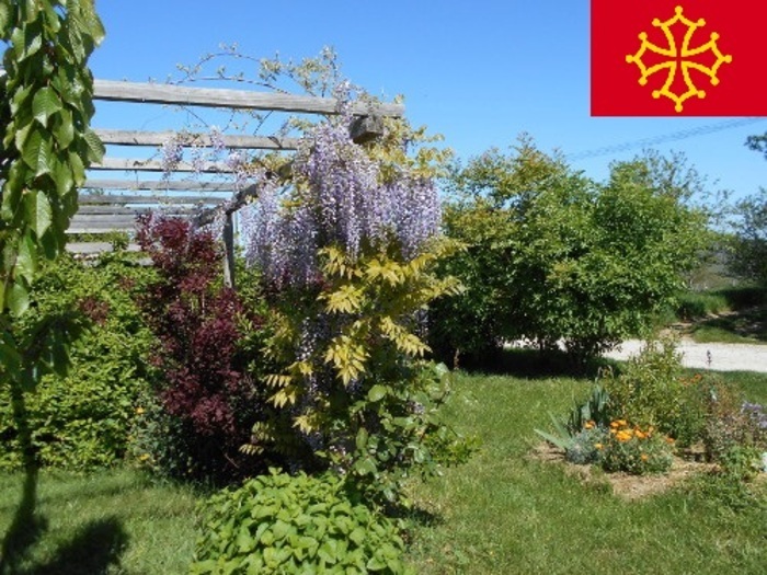 Sortie botanique au verger - français