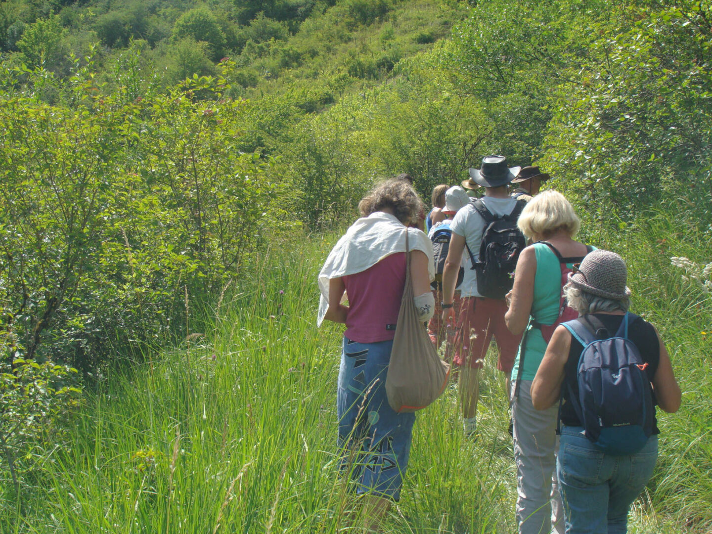 Sortie botanique ENS place de l&rsquo;église Vuillafans