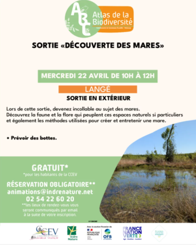 Sortie Découverte des mares  Langé