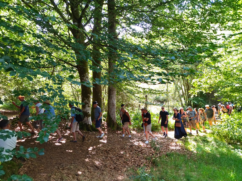 Sortie mycologique  Saint-Setiers 2026-09-27