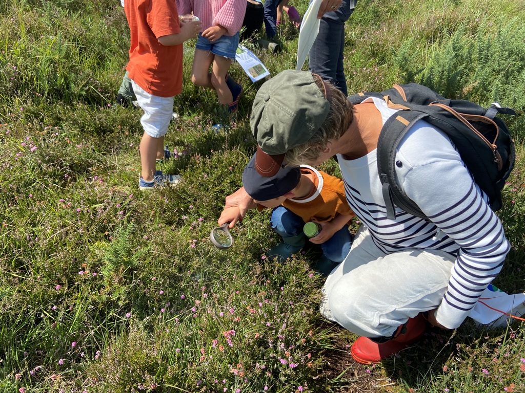 Sortie nature Au pays des plantes carnivores  Millières 2026-08-05