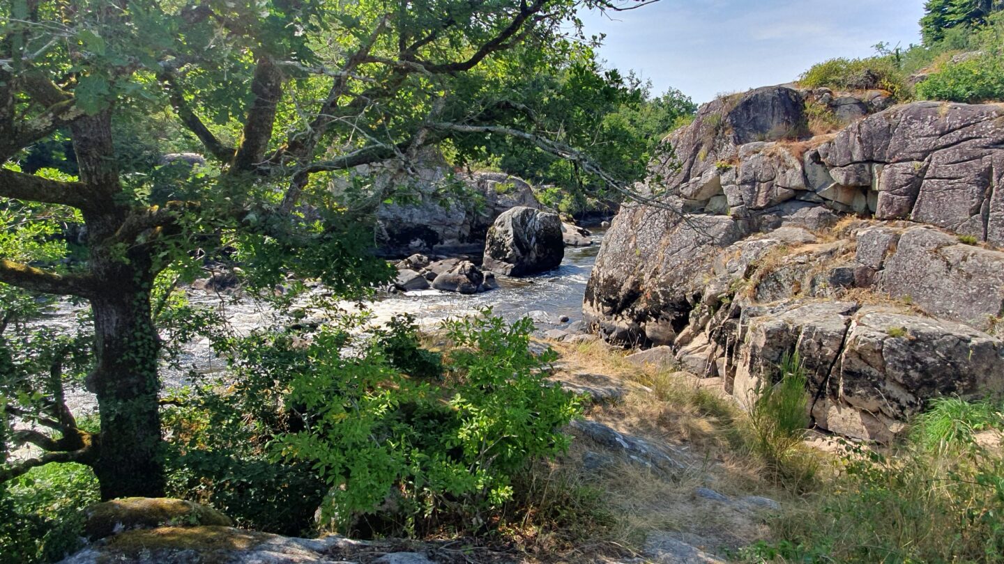 Sortie nature au Roc d&rsquo;Enfer  Lathus-Saint-Rémy