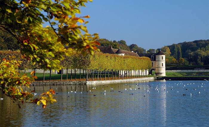 Sortie nature autour des oiseaux du domaine, Domaine de Villarceaux, Chaussy