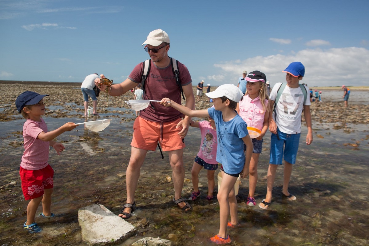 Sortie nature Coquillages et crustacés  Saint-Germain-sur-Ay 2026-07-15