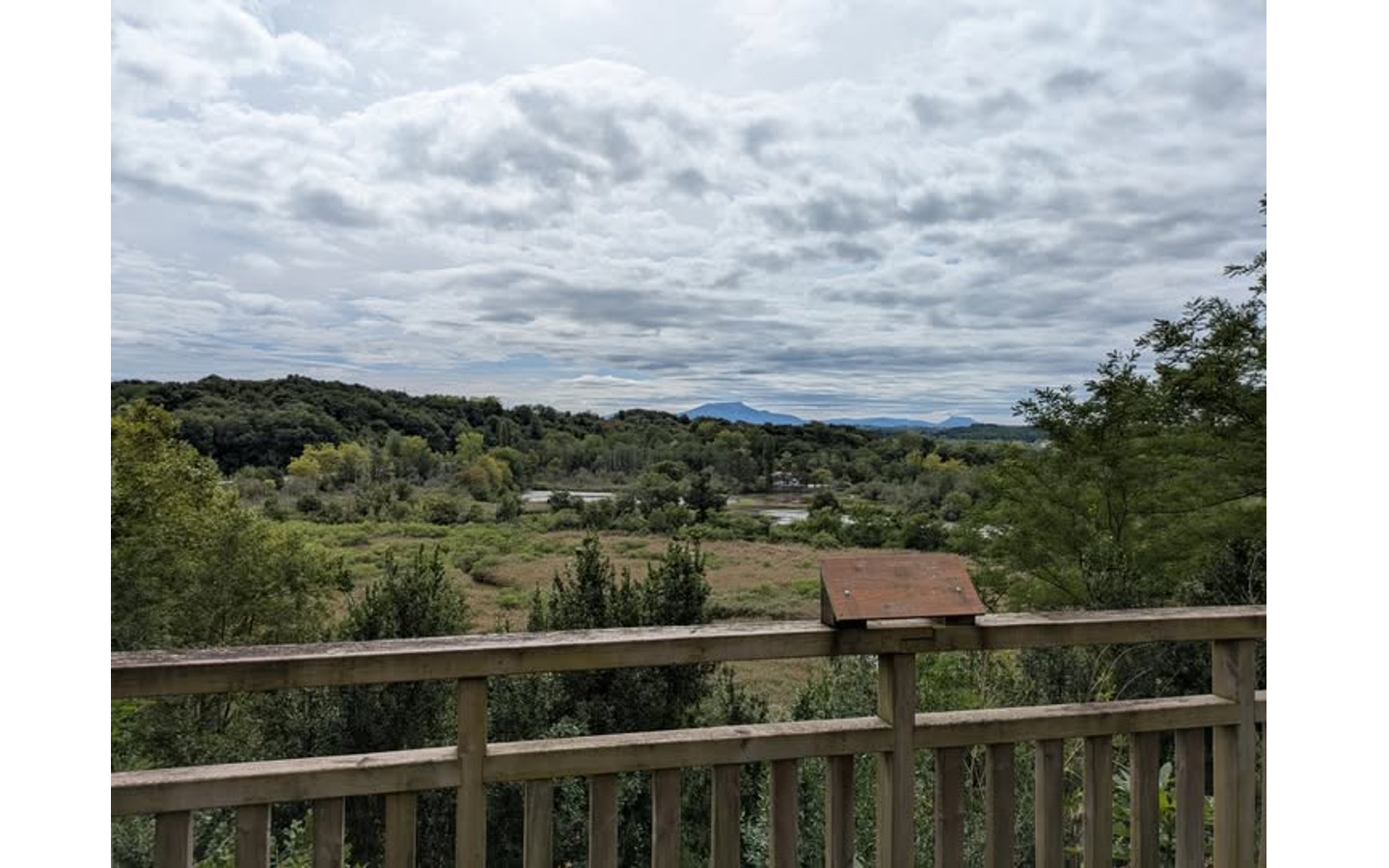 Sortie nature Les espèces exotiques envahissantes  Saint-Pierre-d&rsquo;Irube