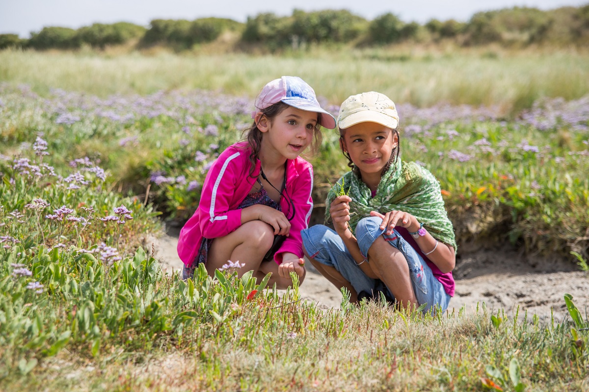 Sortie nature Petit aventurier dans le havre  Saint-Germain-sur-Ay 2026-07-28