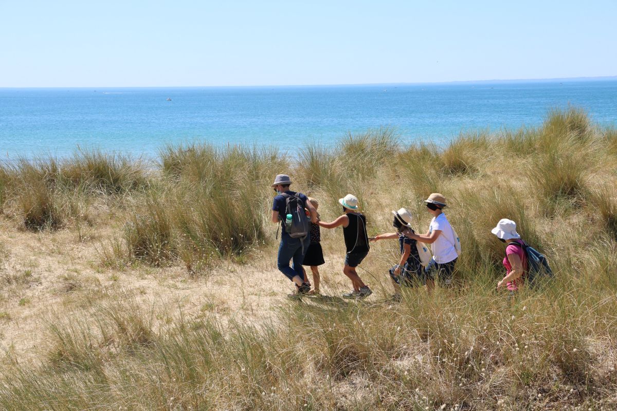 Sortie nature Petit aventurier dans les dunes  Saint-Germain-sur-Ay 2026-08-12