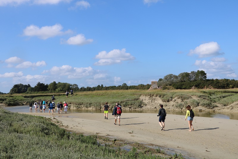 Sortie nature Traversée du havre de l'Ay  Créances 2026-08-20