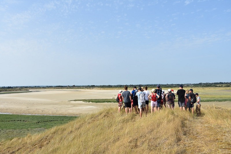 Sortie nature Traversée du havre de Surville  La Haye 2026-07-22